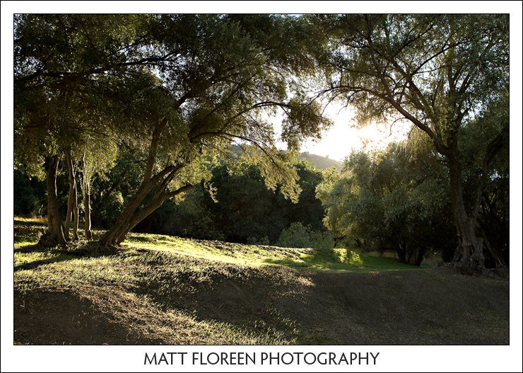 20081115-0115-lake-piru.jpg