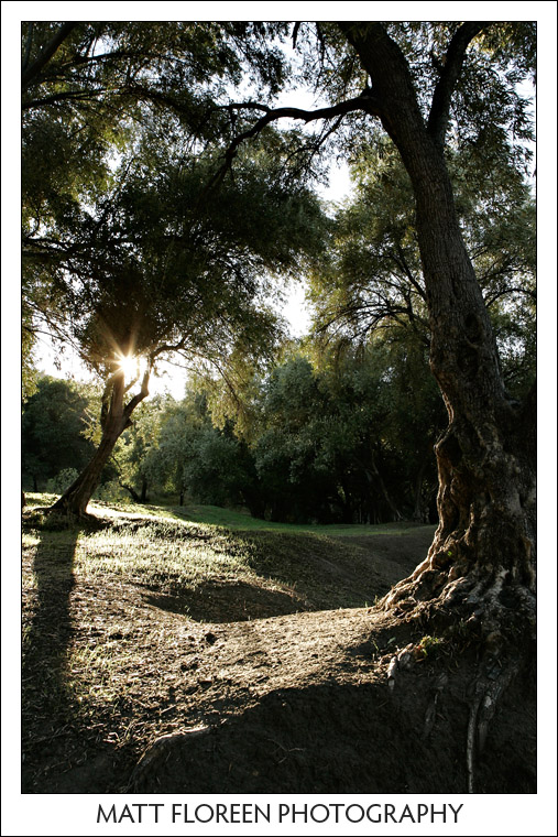 20081115-0130-lake-piru.jpg